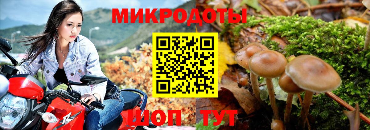 Галлюциногенные грибы мухоморы Котлас
