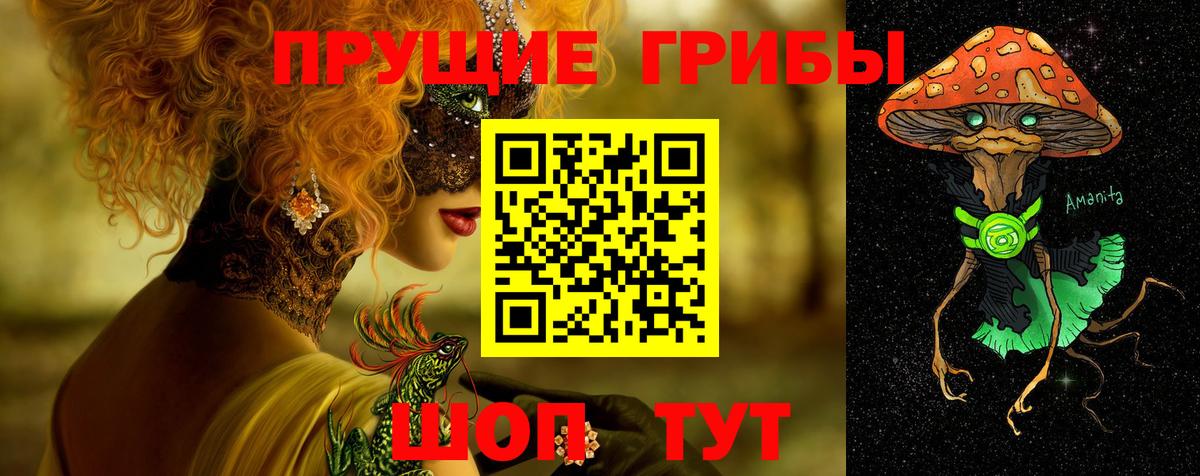 Котлас  Псилоцибиновые грибы MAGIC MUSHROOMS  Псилоцибиновые грибы Psilocybe  Вход с VPN 