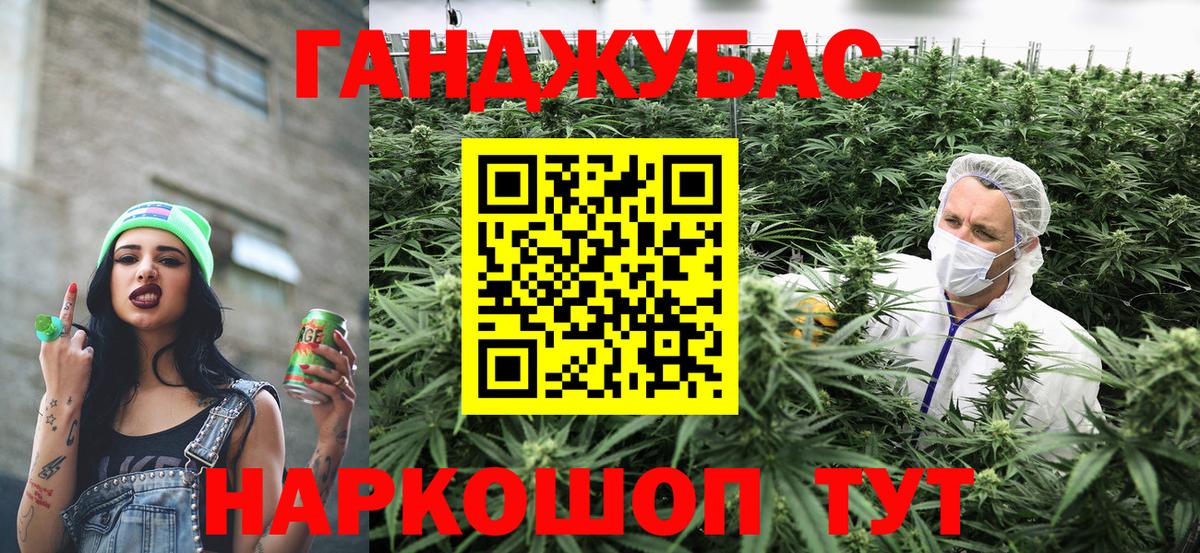 Бошки Шишки планчик Котлас